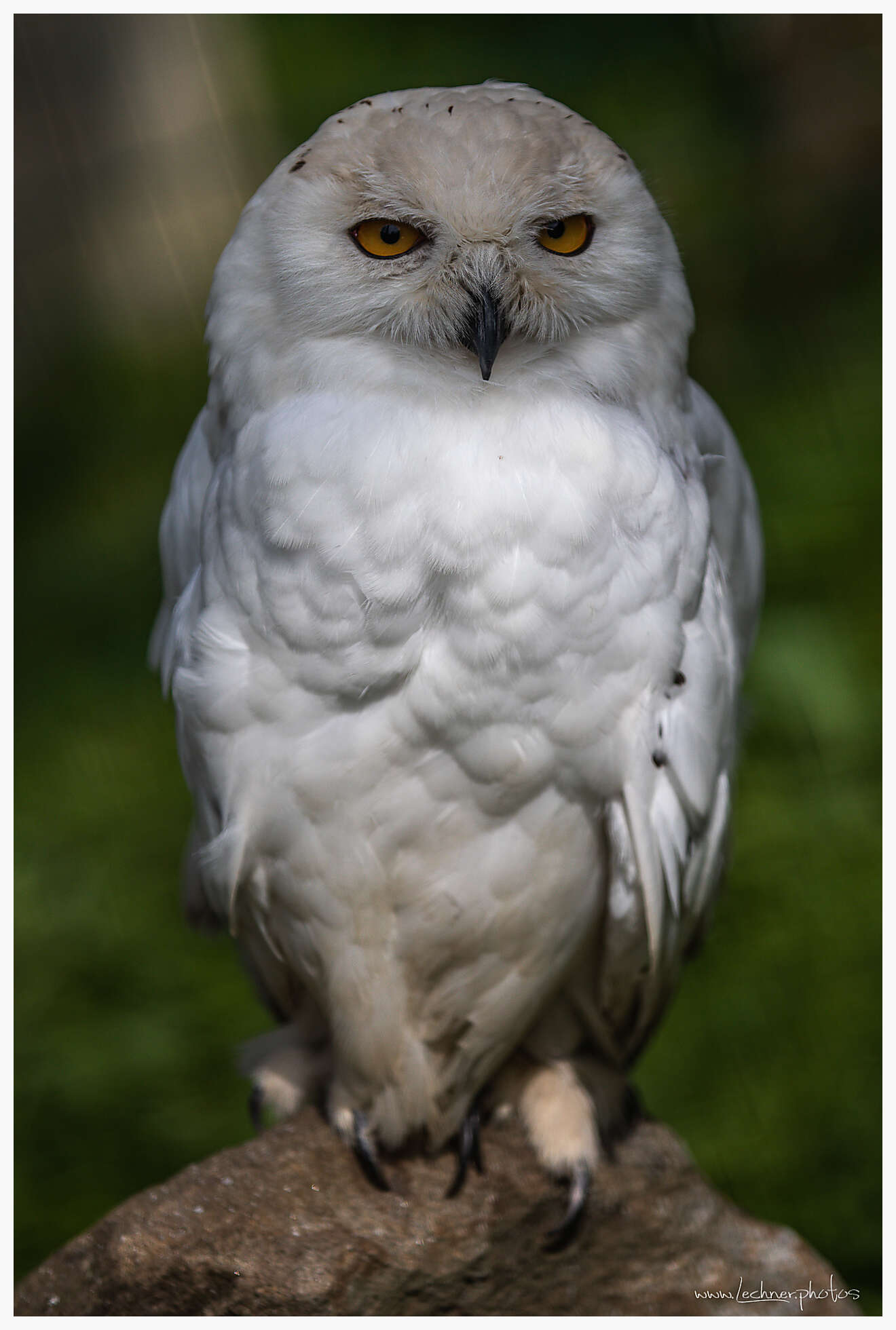 20180829 133553 949A0123