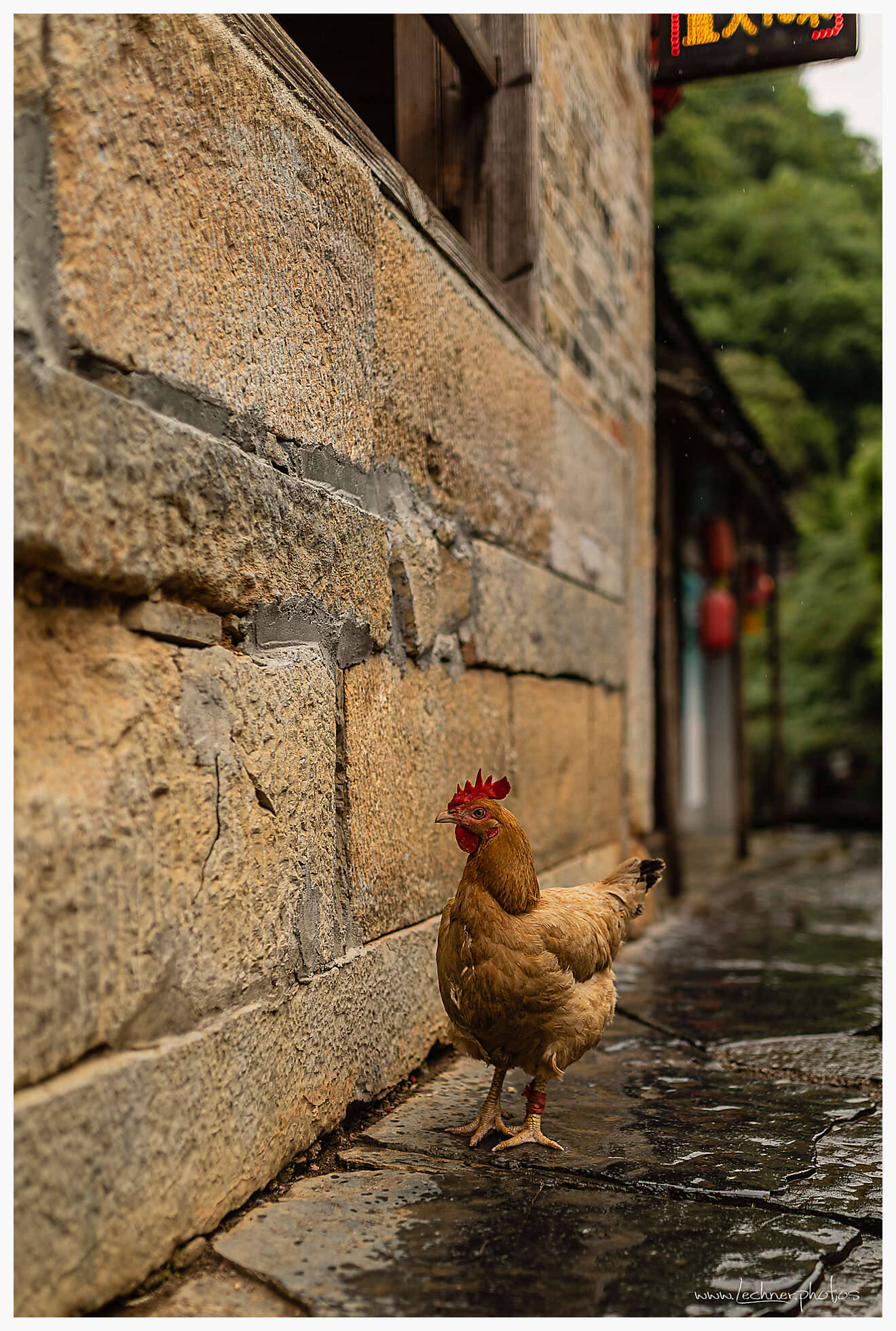 20210427 13 03 30  49A0311