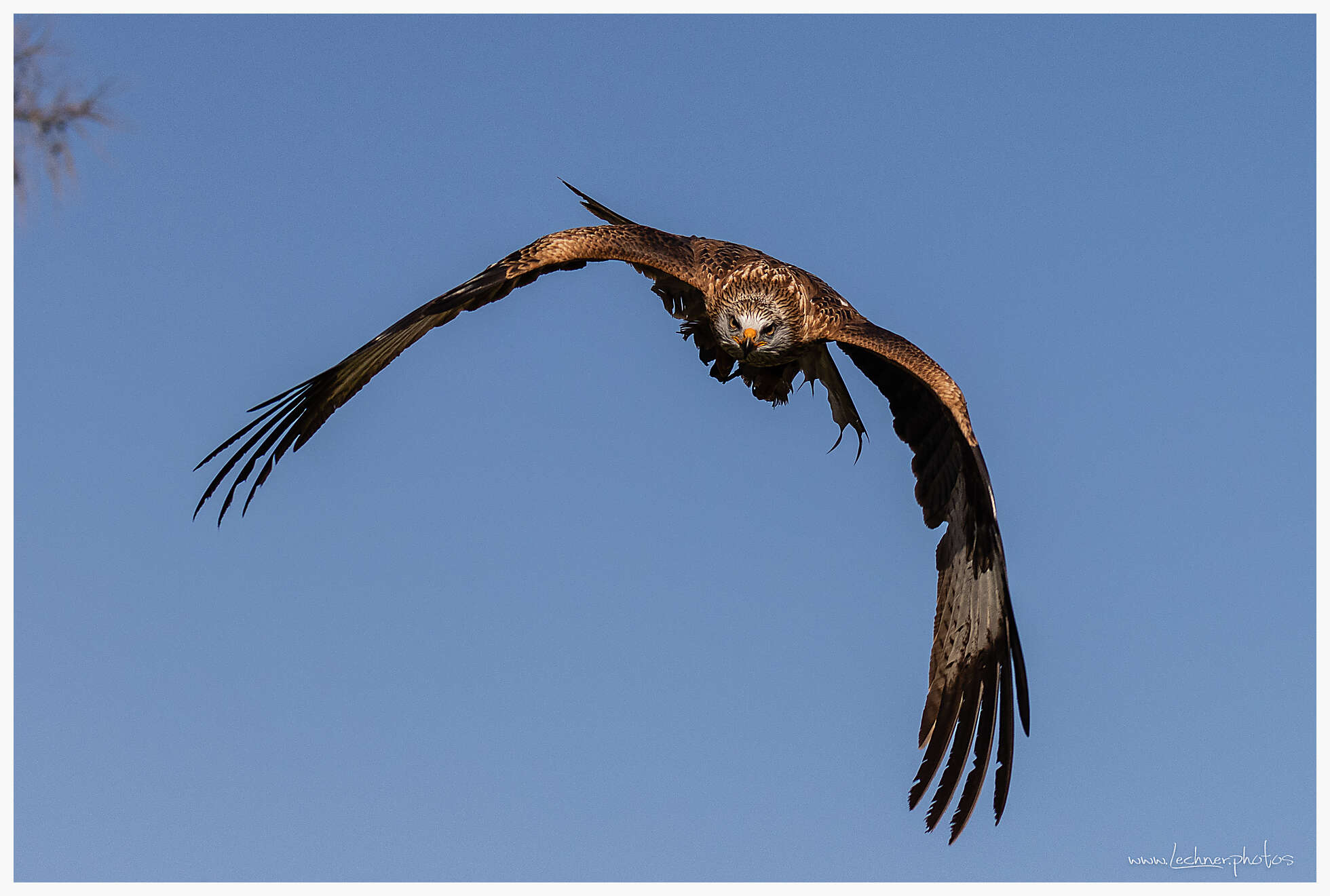 20230318 22 25 21  26A6847