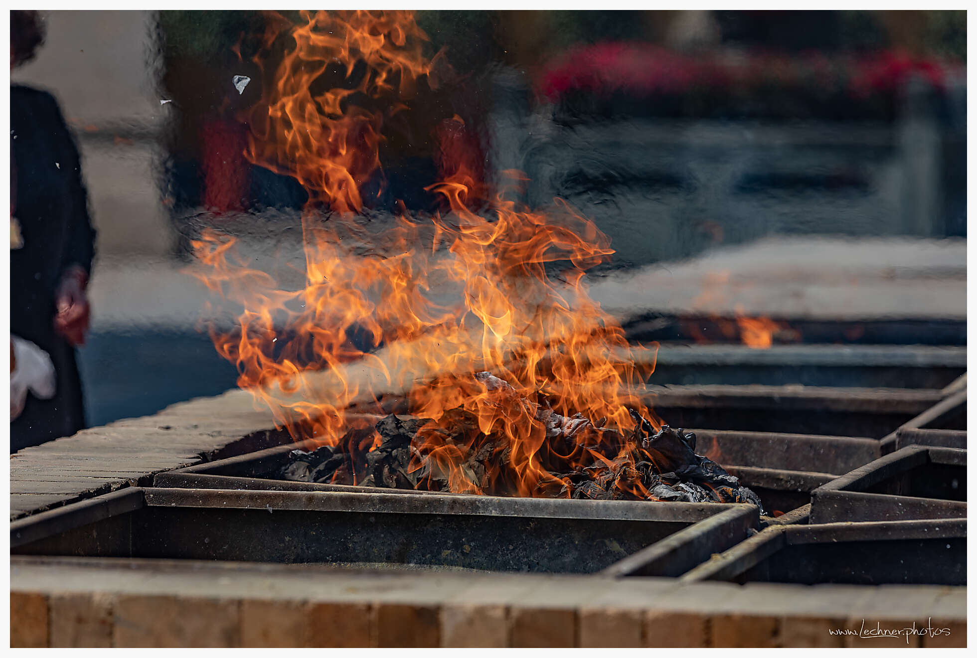 20190407 070339  49A6337