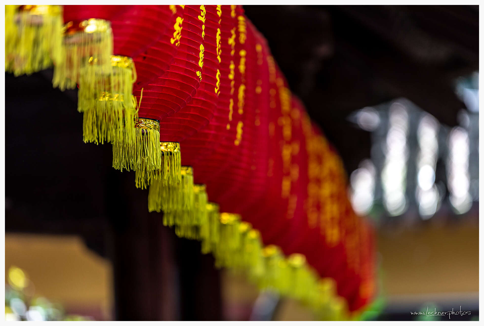 20190407 070712  49A6352