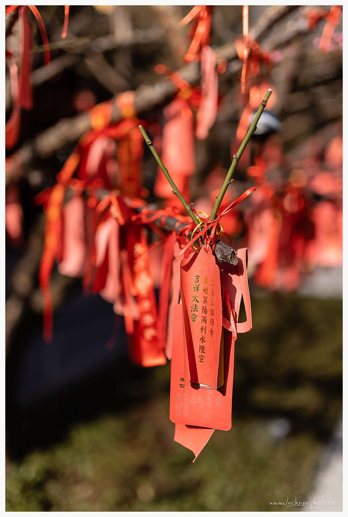 Jade Buddha Temple