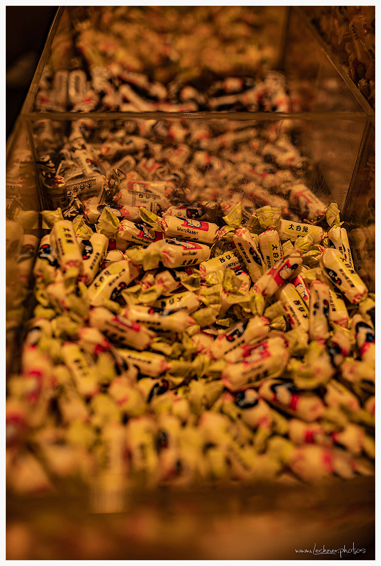 20210214 17 21 54  49A5250