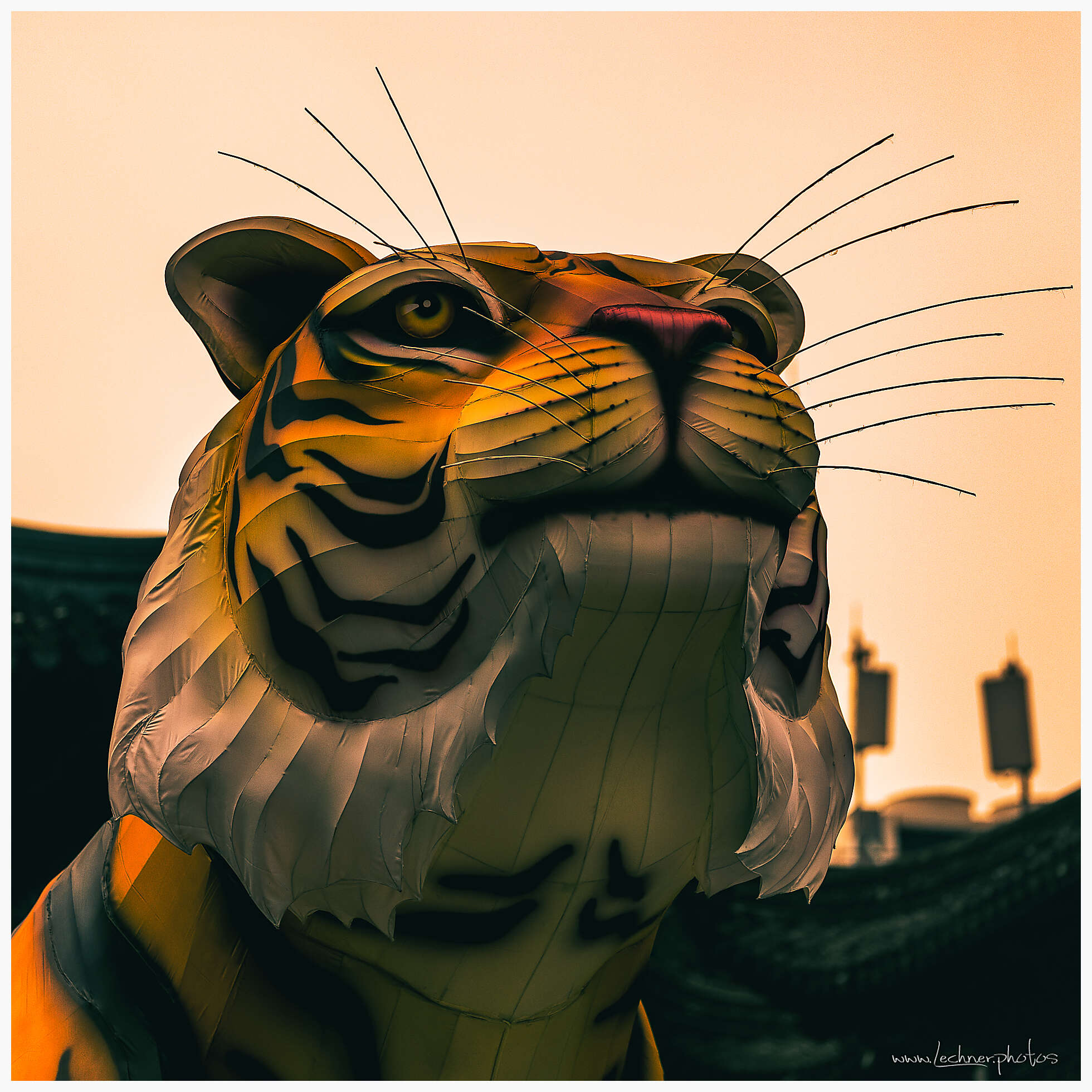 Yu Yuan Garden 2022 installation