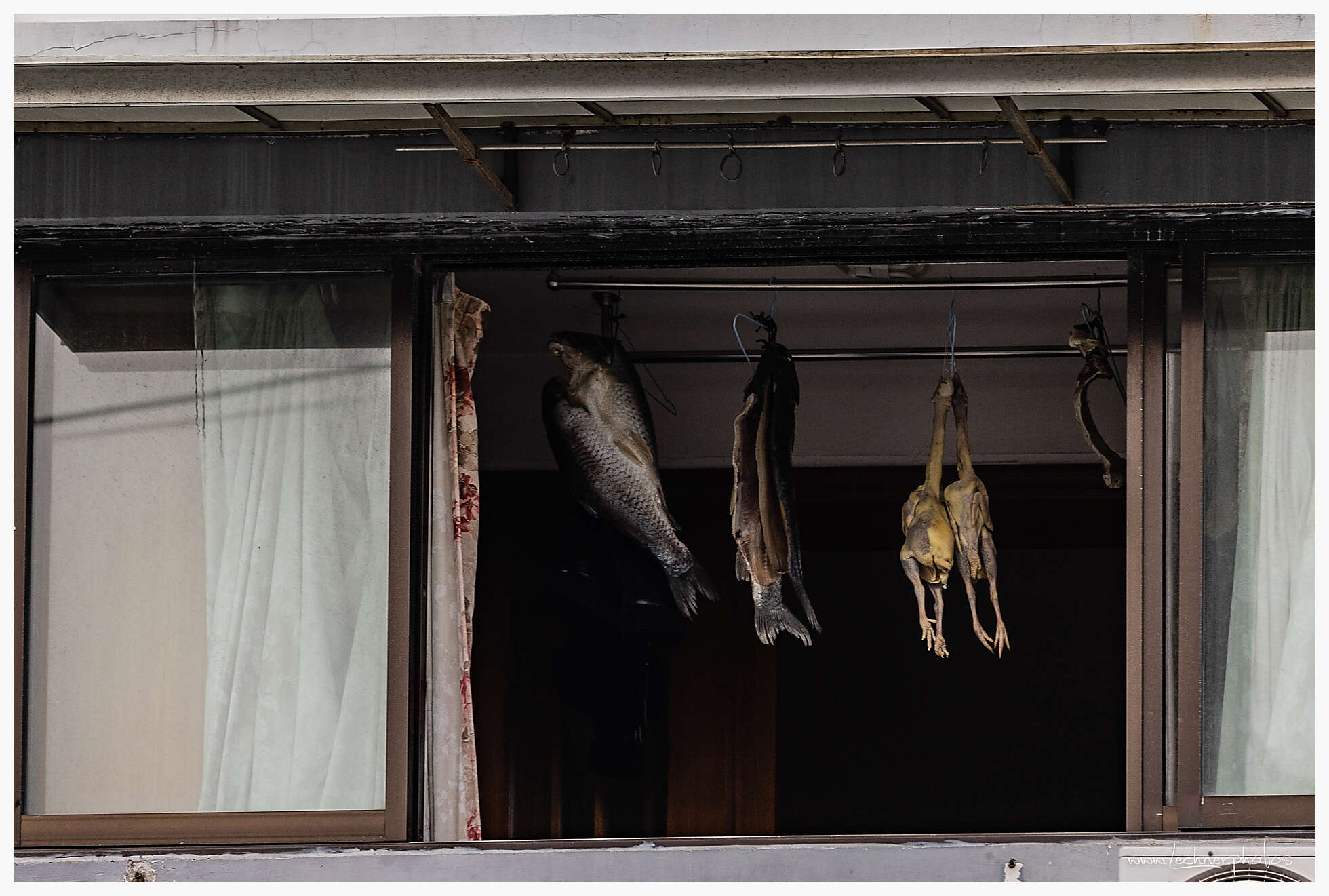 living room decorations