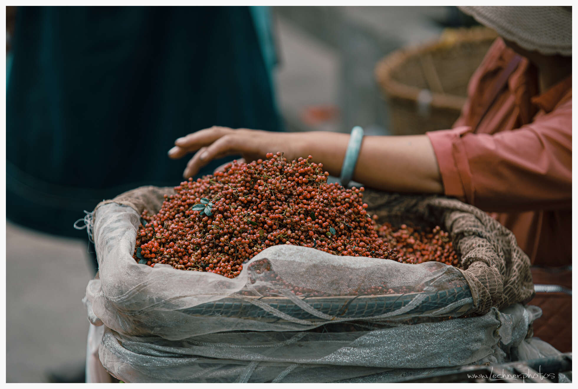 20200731 092528  49A9705